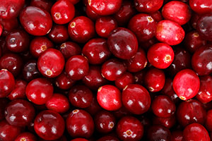 canneberge ou cranberry