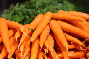 carotte déshydratée