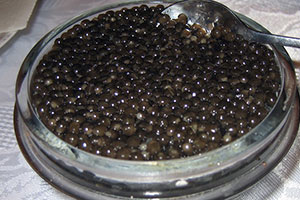 caviar semi-conserve