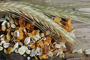 pétales de blé avec fruits à coque enrichis en vitamines et minéraux