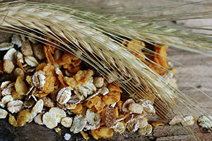 céréales aux fruits