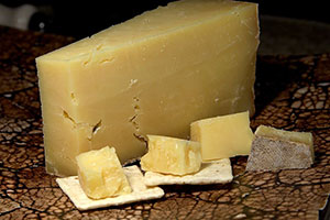 cheddar