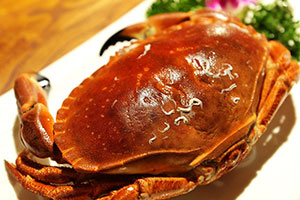 crabe ou tourteau cuit