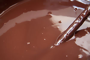 crème dessert au chocolat rayon frais