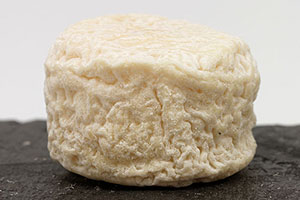 fromage de chèvre crottin de chavignol