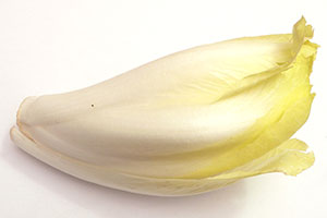 endive