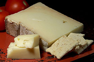 fontina