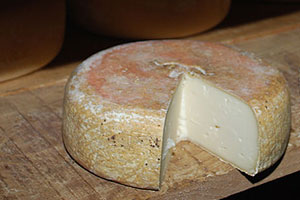 fromage de brebis à pâte molle et croûte fleurie