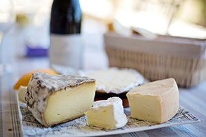 fromage de chèvre à pâte molle et croûte fleurie type camembert