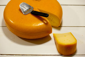 gouda