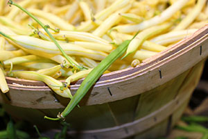 haricots beurre en boîte égouttés