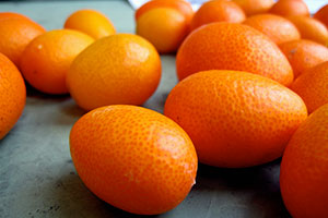 kumquat sans pépin