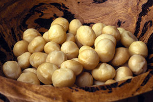 noix de macadamia grillée salée