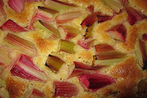 rhubarbe tige cuite sucrée