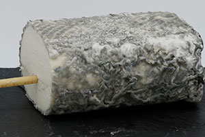 fromage de chèvre sainte-maure
