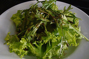 salade ou chicorée frisée