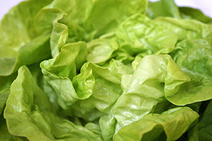 salade verte sans assaisonnement