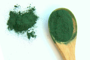 spiruline séchée ou déshydratée