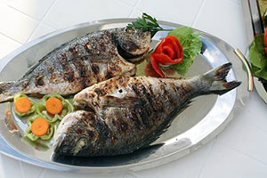 tilapia